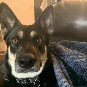 Meet your Posher, Meera